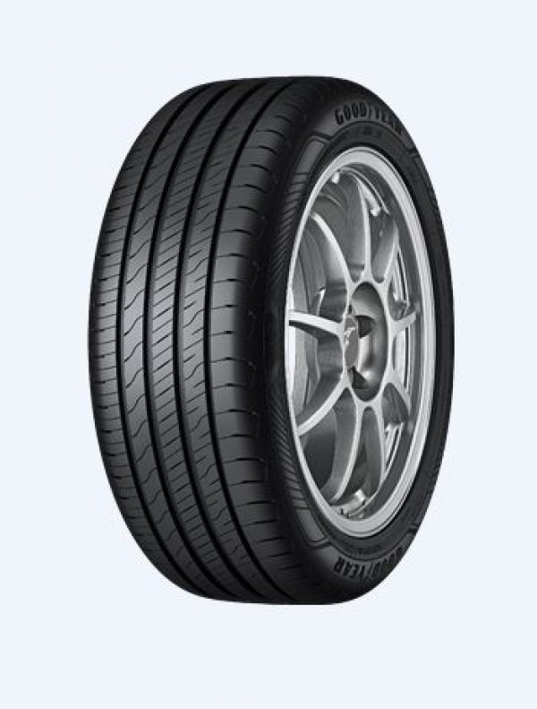 GOODYEAR EFFICIENTGRIP PERFORMANCE 2 205/55R16 91 Y