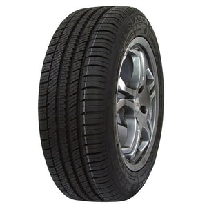 NANKANG AS-1 255/30R21 93 Y